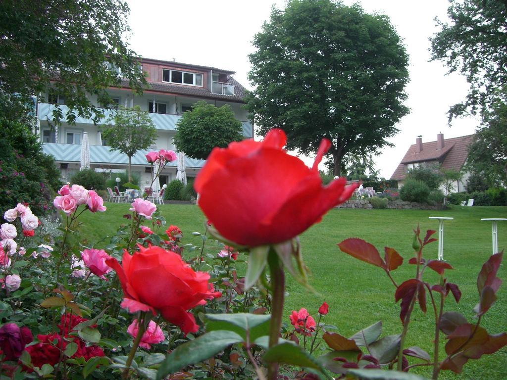 Hotel-Restaurant Schwedi Langenargen Luaran gambar